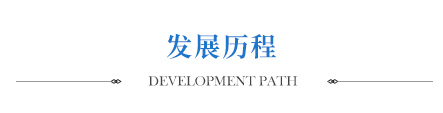 發(fā)展歷程