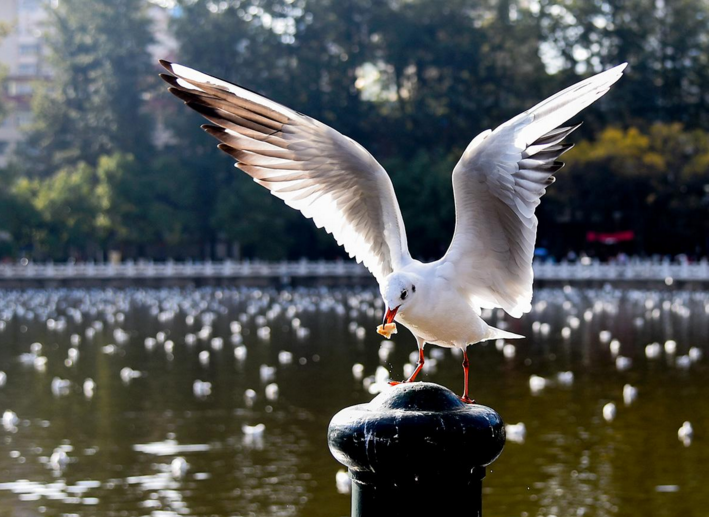 智能鎖廠家加盟前景如何？-智能鎖廠家加盟皇迪智能